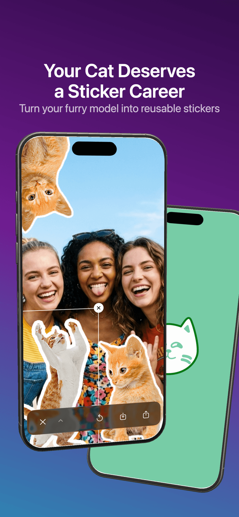 Caticker Screenshot 1