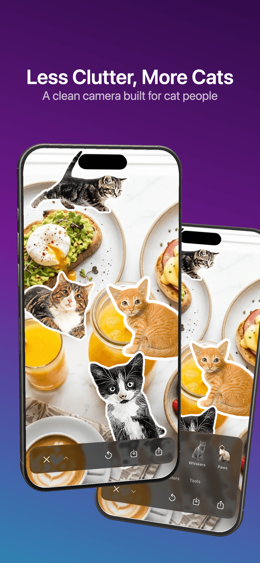 Caticker Screenshot 3