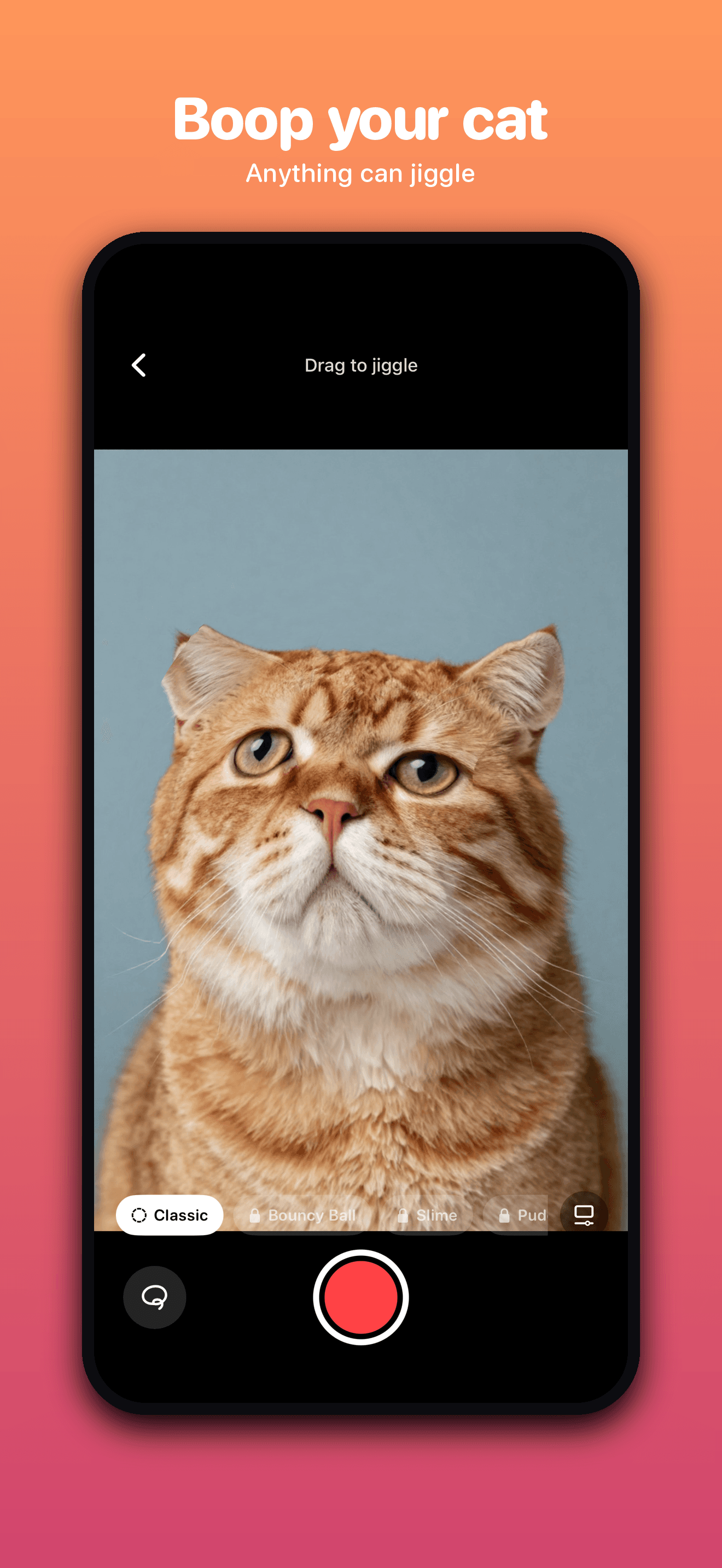Wobble a cat — fur jiggles like jelly